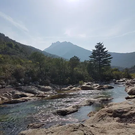 Primavera Appartement Galéria