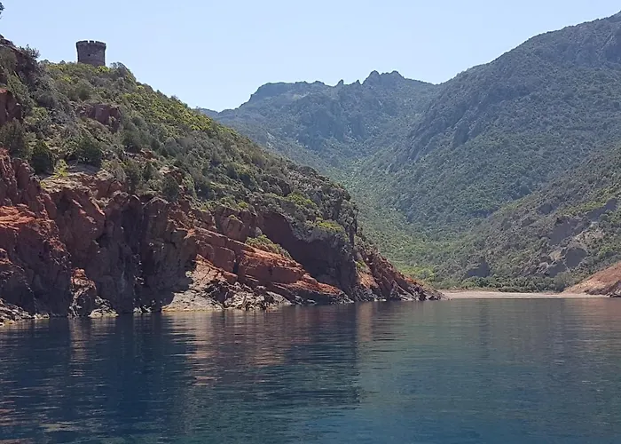 Primavera Galeria (Corsica)