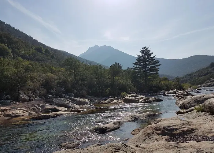 Primavera Apartmán Galeria (Corsica)