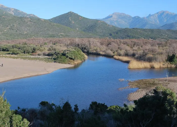 Primavera * 加莱里亚